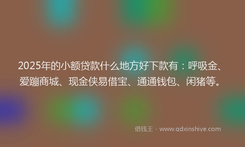 2025年的小额贷款什么地方好下款有：呼吸金、爱蹦商城、现金侠易借宝、通通钱包、闲猪等。