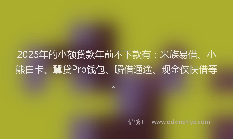 2025年的小额贷款年前不下款有：米族易借、小熊白卡、翼贷Pro钱包、瞬借通途、现金侠快借等。