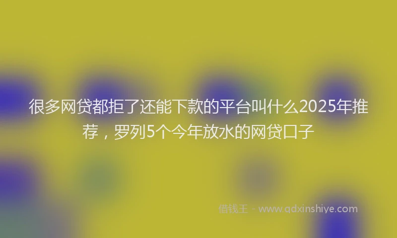 很多网贷都拒了还能下款的平台叫什么2025年推荐，罗列5个今年放水的网贷口子