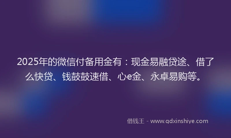 2025年的微信付备用金有：现金易融贷途、借了么快贷、钱鼓鼓速借、心e金、永卓易购等。