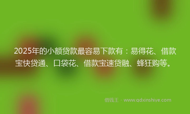 2025年的小额贷款最容易下款有：易得花、借款宝快贷通、口袋花、借款宝速贷融、蜂狂购等。