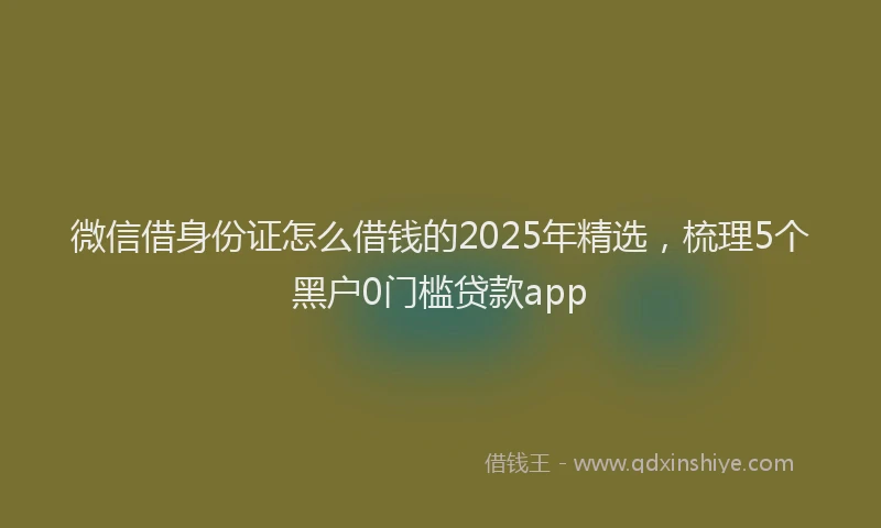 微信借身份证怎么借钱的2025年精选，梳理5个黑户0门槛贷款app