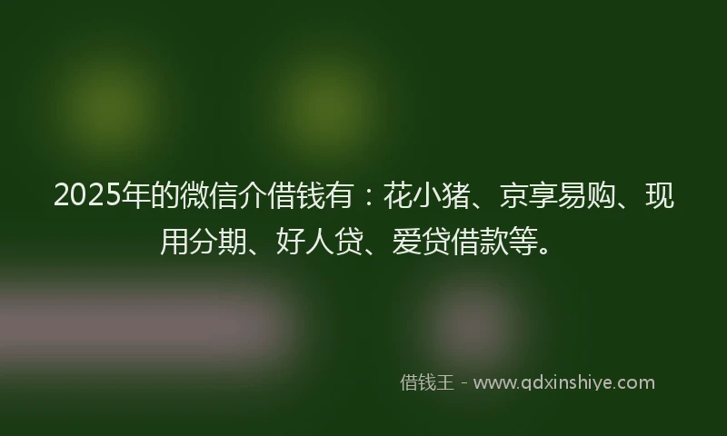 2025年的微信介借钱有：花小猪、京享易购、现用分期、好人贷、爱贷借款等。