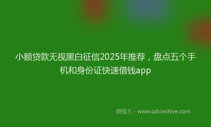 小额贷款无视黑白征信2025年推荐，盘点五个手机和身份证快速借钱app