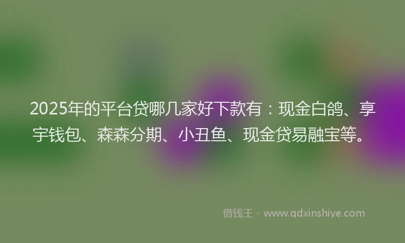 2025年的平台贷哪几家好下款有：现金白鸽、享宇钱包、森森分期、小丑鱼、现金贷易融宝等。