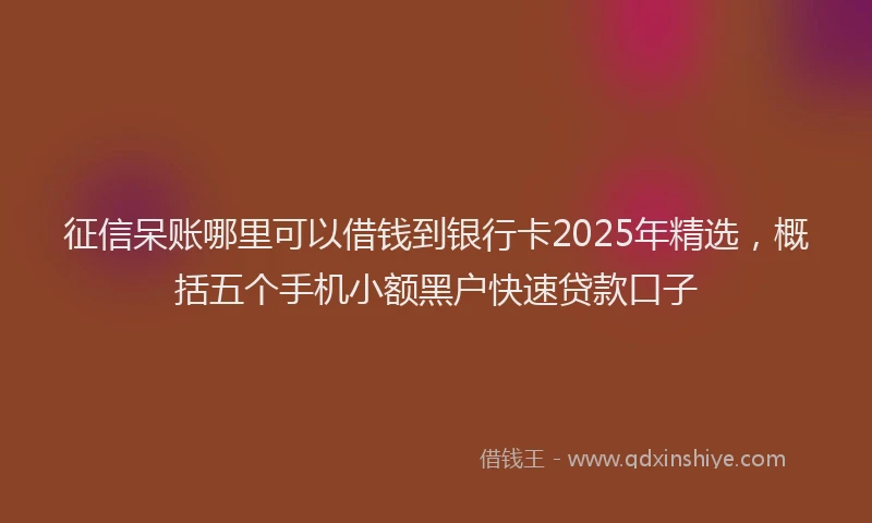 征信呆账哪里可以借钱到银行卡2025年精选，概括五个手机小额黑户快速贷款口子