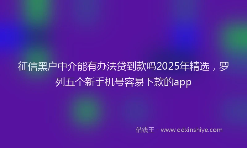 征信黑户中介能有办法贷到款吗2025年精选，罗列五个新手机号容易下款的app