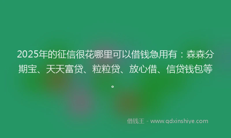 2025年的征信很花哪里可以借钱急用有：森森分期宝、天天富贷、粒粒贷、放心借、信贷钱包等。