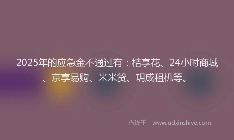 2025年的应急金不通过有：桔享花、24小时商城、京享易购、米米贷、玥成租机等。