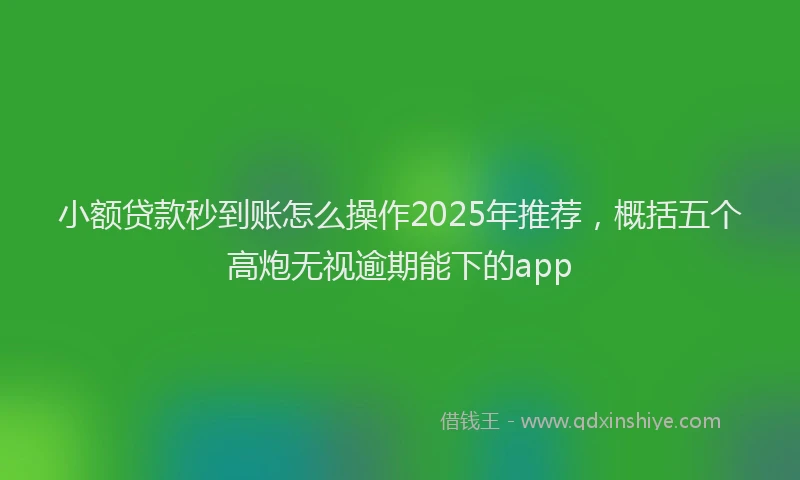 小额贷款秒到账怎么操作2025年推荐，概括五个高炮无视逾期能下的app