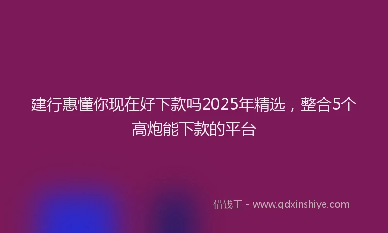 建行惠懂你现在好下款吗2025年精选，整合5个高炮能下款的平台