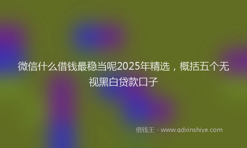 微信什么借钱最稳当呢2025年精选，概括五个无视黑白贷款口子