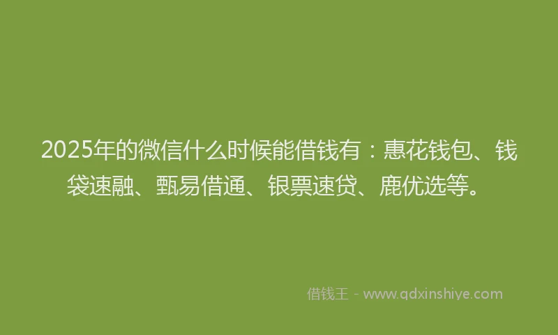 2025年的微信什么时候能借钱有：惠花钱包、钱袋速融、甄易借通、银票速贷、鹿优选等。