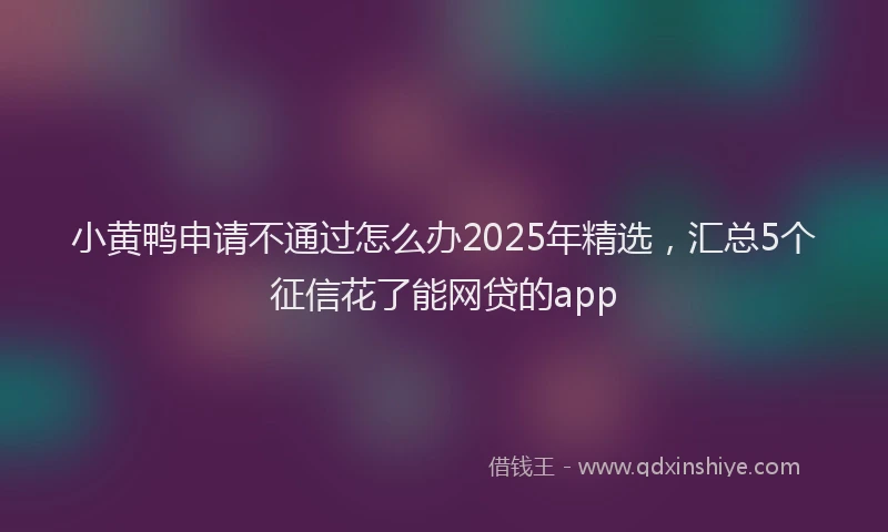 小黄鸭申请不通过怎么办2025年精选，汇总5个征信花了能网贷的app