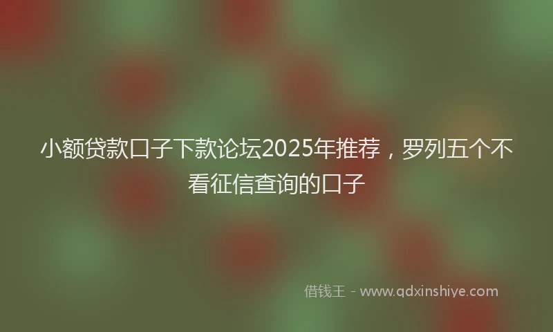 小额贷款口子下款论坛2025年推荐，罗列五个不看征信查询的口子