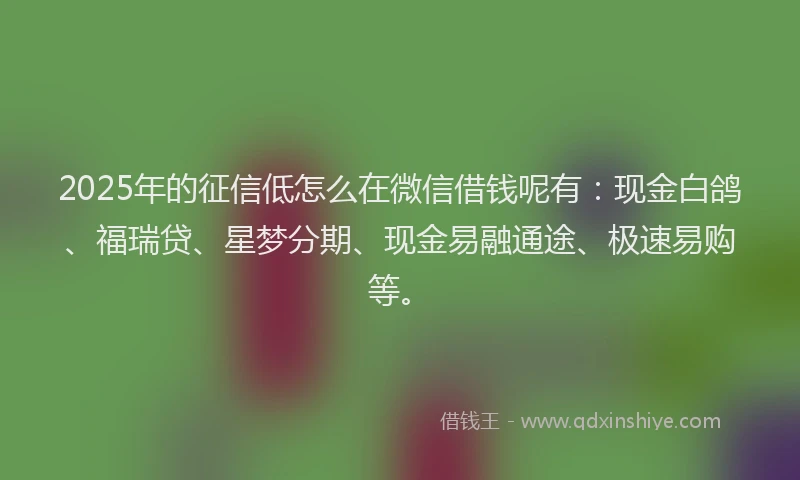 2025年的征信低怎么在微信借钱呢有：现金白鸽、福瑞贷、星梦分期、现金易融通途、极速易购等。