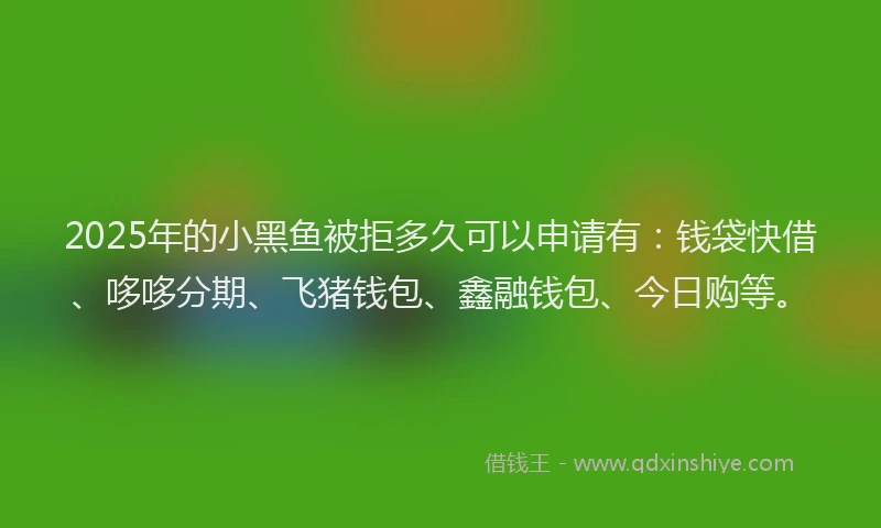2025年的小黑鱼被拒多久可以申请有：钱袋快借、哆哆分期、飞猪钱包、鑫融钱包、今日购等。