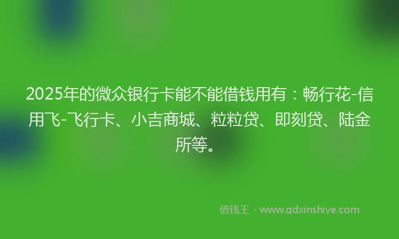 2025年的微众银行卡能不能借钱用有：畅行花-信用飞-飞行卡、小吉商城、粒粒贷、即刻贷、陆金所等。