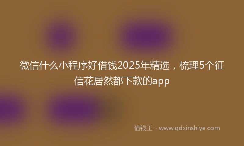 微信什么小程序好借钱2025年精选，梳理5个征信花居然都下款的app
