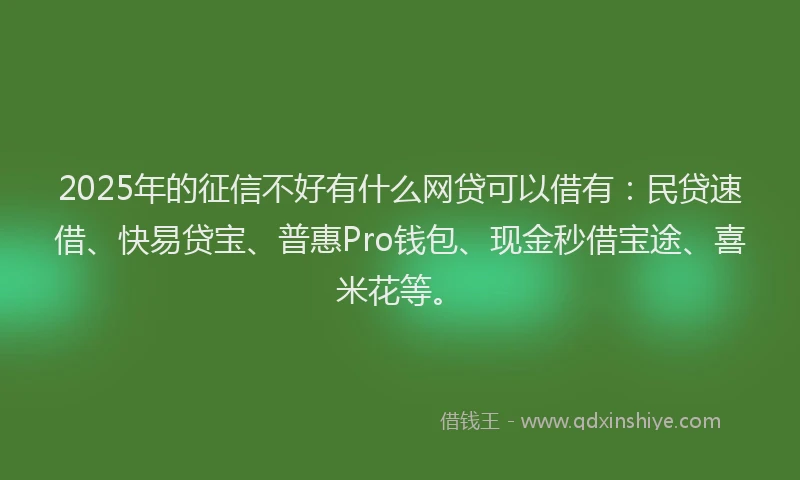2025年的征信不好有什么网贷可以借有：民贷速借、快易贷宝、普惠Pro钱包、现金秒借宝途、喜米花等。