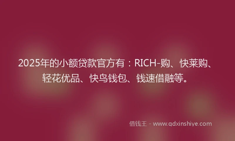 2025年的小额贷款官方有：RICH-购、快莱购、轻花优品、快鸟钱包、钱速借融等。