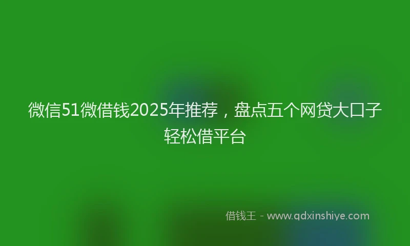 微信51微借钱2025年推荐，盘点五个网贷大口子轻松借平台