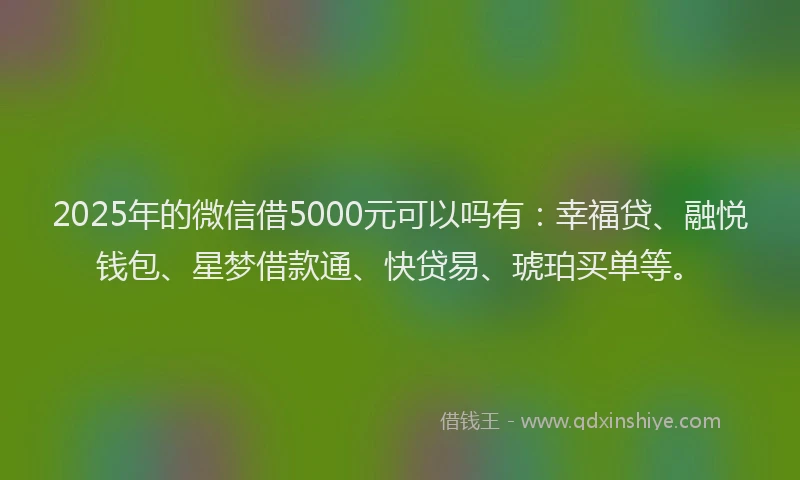 2025年的微信借5000元可以吗有：幸福贷、融悦钱包、星梦借款通、快贷易、琥珀买单等。