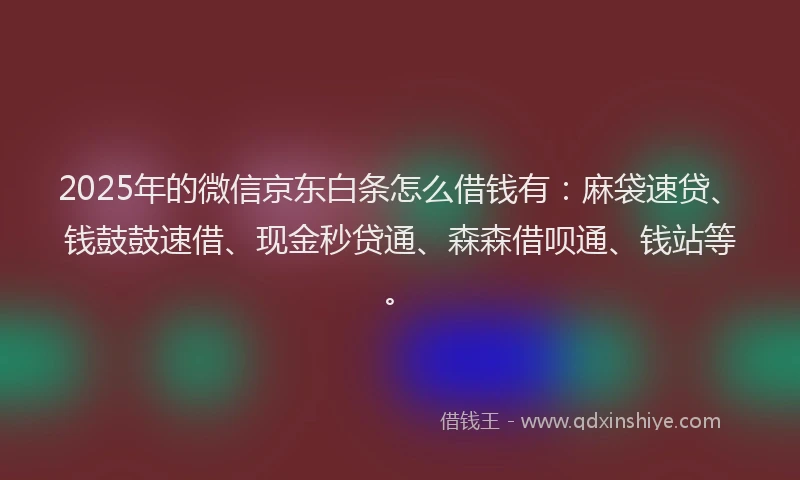 2025年的微信京东白条怎么借钱有：麻袋速贷、钱鼓鼓速借、现金秒贷通、森森借呗通、钱站等。