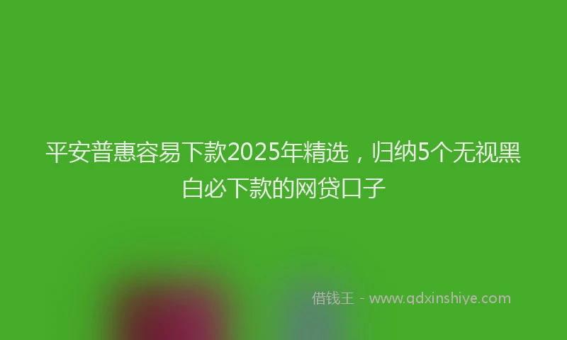 平安普惠容易下款2025年精选，归纳5个无视黑白必下款的网贷口子