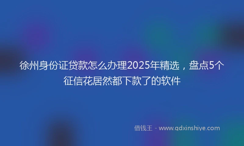 徐州身份证贷款怎么办理2025年精选，盘点5个征信花居然都下款了的软件