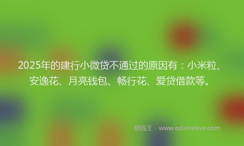 2025年的建行小微贷不通过的原因有：小米粒、安逸花、月亮钱包、畅行花、爱贷借款等。