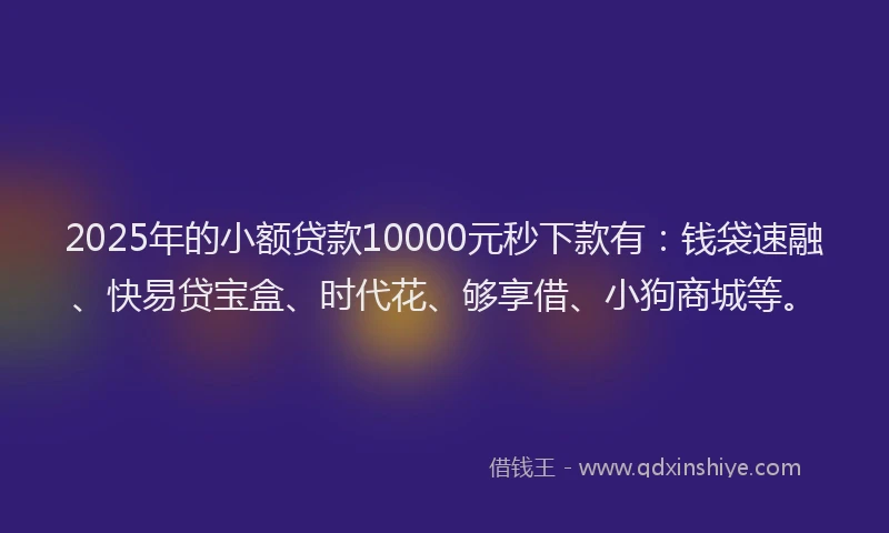 2025年的小额贷款10000元秒下款有：钱袋速融、快易贷宝盒、时代花、够享借、小狗商城等。