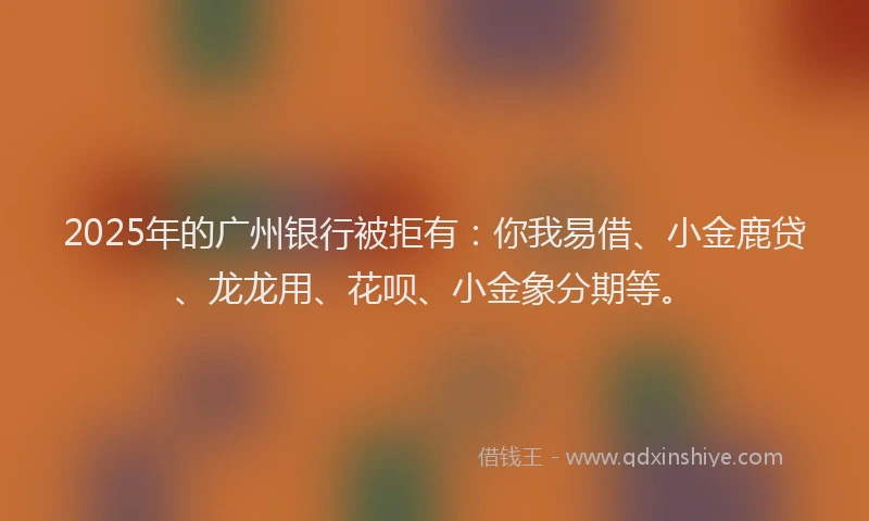 2025年的广州银行被拒有：你我易借、小金鹿贷、龙龙用、花呗、小金象分期等。