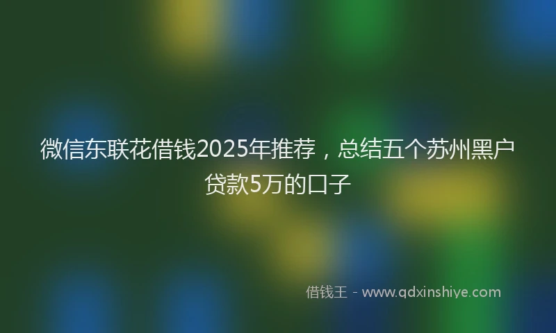 微信东联花借钱2025年推荐，总结五个苏州黑户贷款5万的口子