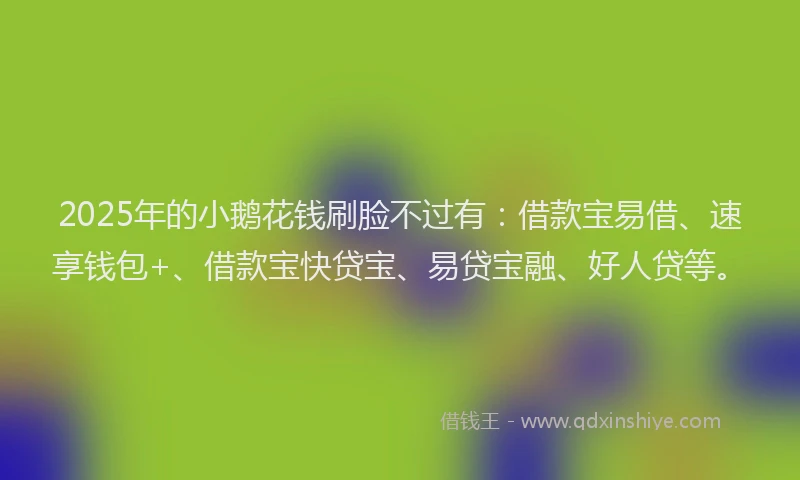 2025年的小鹅花钱刷脸不过有：借款宝易借、速享钱包+、借款宝快贷宝、易贷宝融、好人贷等。