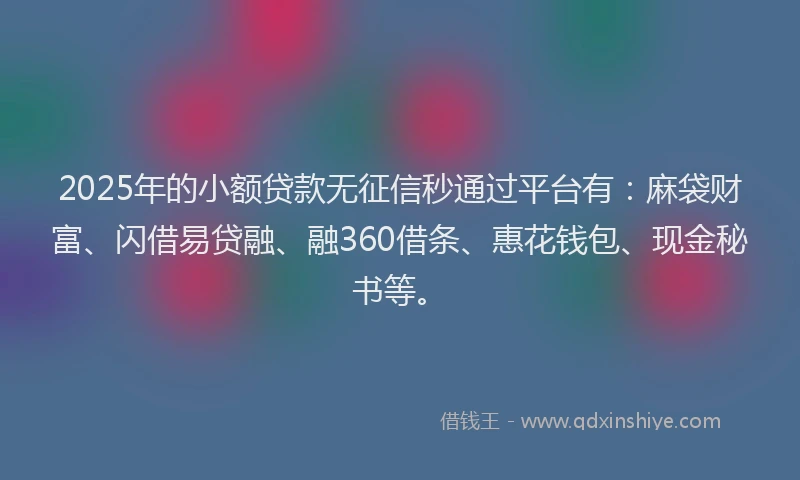 2025年的小额贷款无征信秒通过平台有：麻袋财富、闪借易贷融、融360借条、惠花钱包、现金秘书等。