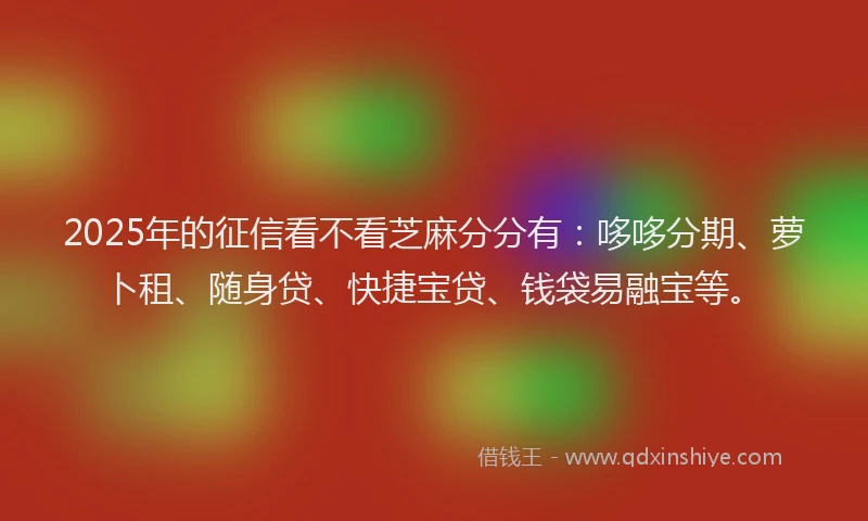 2025年的征信看不看芝麻分分有：哆哆分期、萝卜租、随身贷、快捷宝贷、钱袋易融宝等。