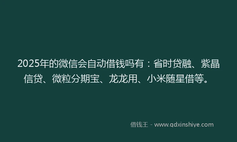 2025年的微信会自动借钱吗有：省时贷融、紫晶信贷、微粒分期宝、龙龙用、小米随星借等。