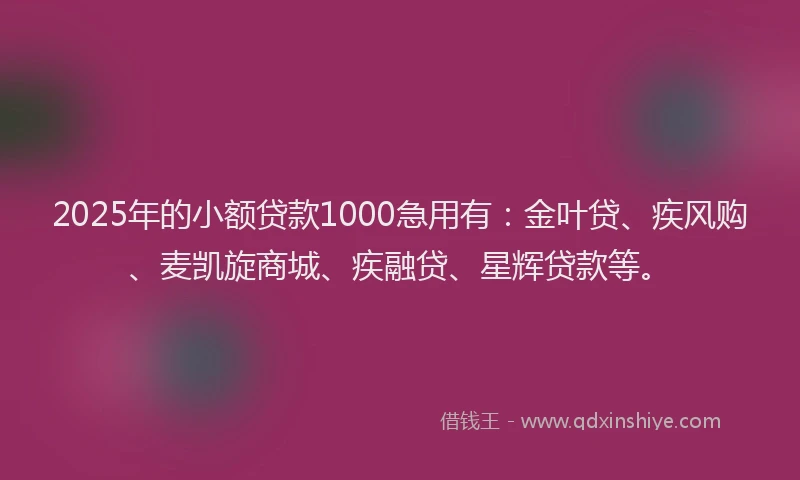 2025年的小额贷款1000急用有：金叶贷、疾风购、麦凯旋商城、疾融贷、星辉贷款等。