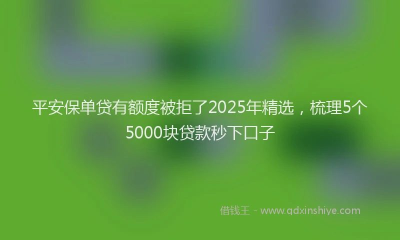 平安保单贷有额度被拒了2025年精选，梳理5个5000块贷款秒下口子