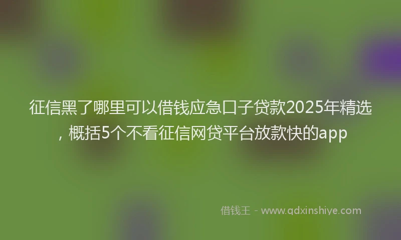 征信黑了哪里可以借钱应急口子贷款2025年精选，概括5个不看征信网贷平台放款快的app