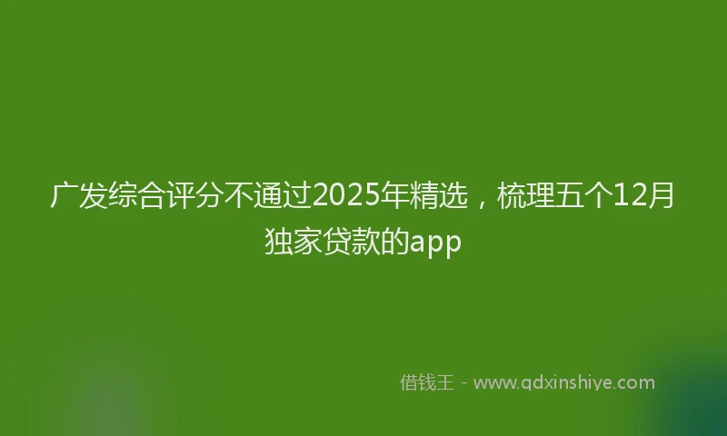广发综合评分不通过2025年精选，梳理五个12月独家贷款的app