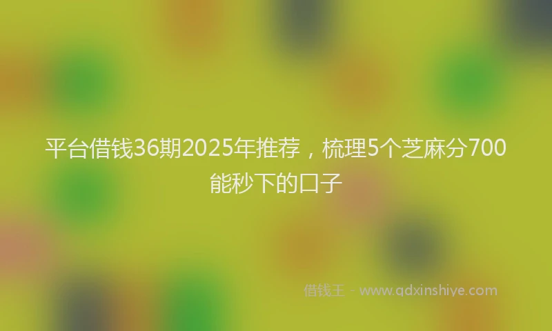 平台借钱36期2025年推荐，梳理5个芝麻分700能秒下的口子