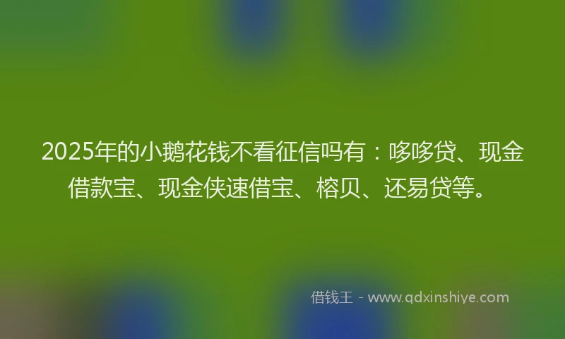 2025年的小鹅花钱不看征信吗有：哆哆贷、现金借款宝、现金侠速借宝、榕贝、还易贷等。