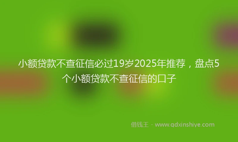 小额贷款不查征信必过19岁2025年推荐，盘点5个小额贷款不查征信的口子