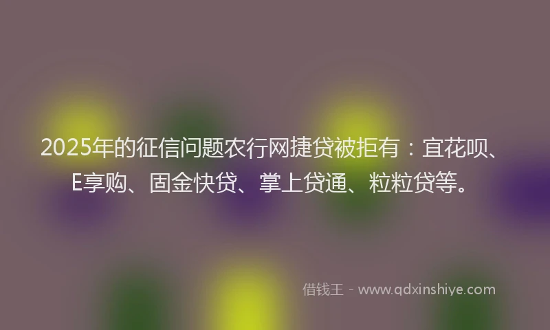 2025年的征信问题农行网捷贷被拒有：宜花呗、E享购、固金快贷、掌上贷通、粒粒贷等。