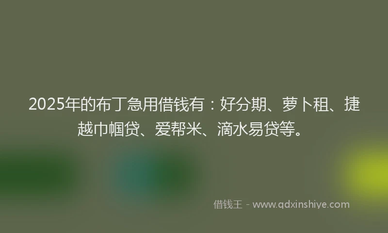 2025年的布丁急用借钱有：好分期、萝卜租、捷越巾帼贷、爱帮米、滴水易贷等。