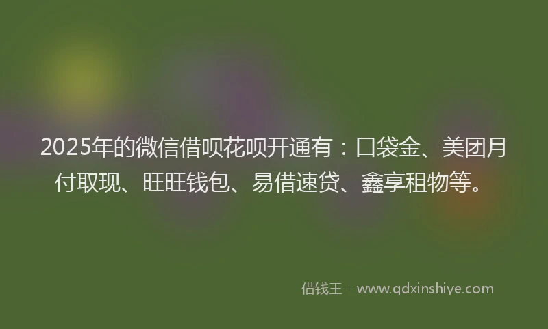 2025年的微信借呗花呗开通有：口袋金、美团月付取现、旺旺钱包、易借速贷、鑫享租物等。