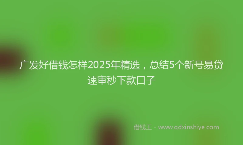 广发好借钱怎样2025年精选，总结5个新号易贷速审秒下款口子