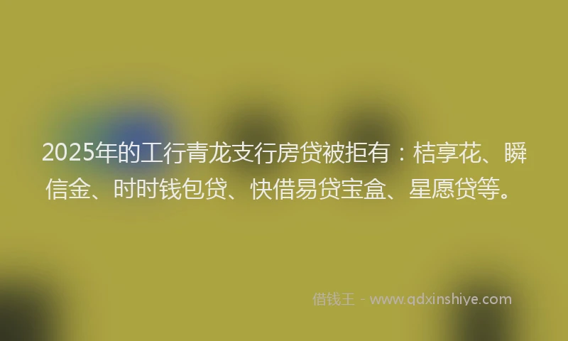 2025年的工行青龙支行房贷被拒有：桔享花、瞬信金、时时钱包贷、快借易贷宝盒、星愿贷等。